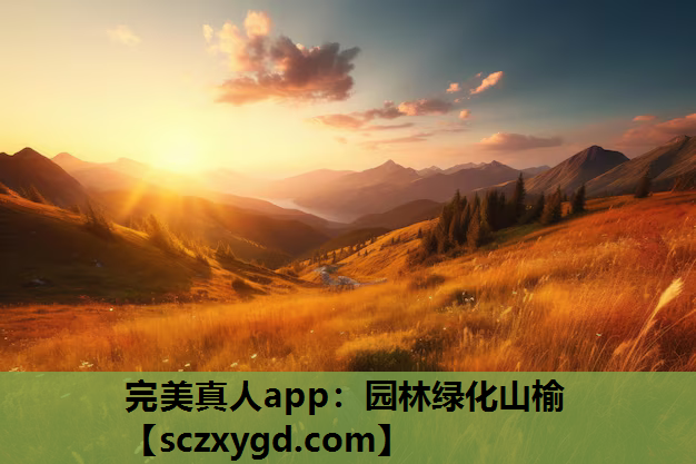 完美真人app：园林绿化山榆