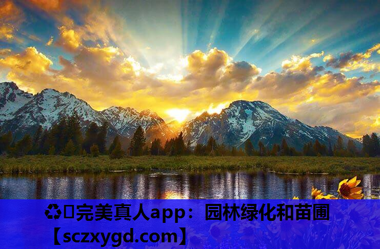 ♻️完美真人app：园林绿化和苗圃